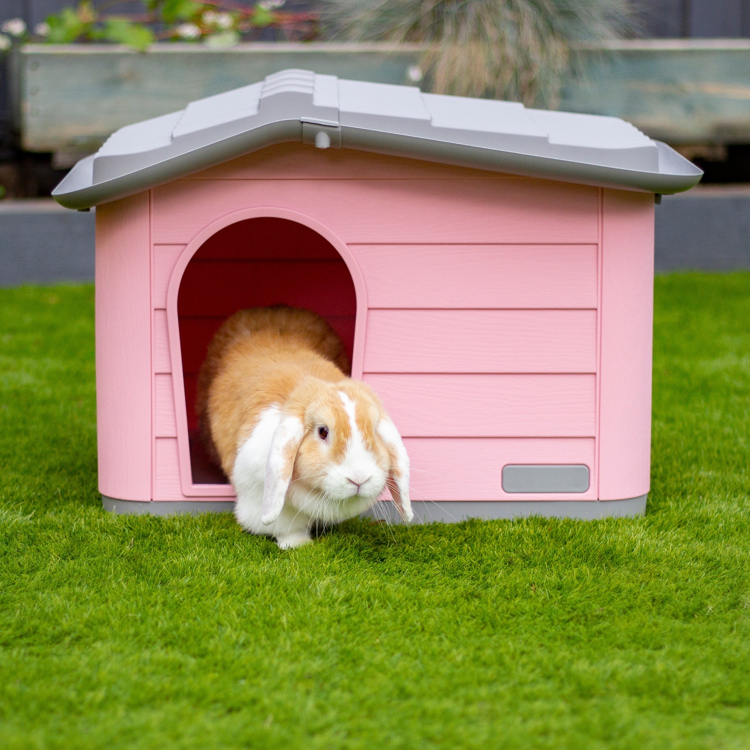 Rosewood Small Pet Knock-Down House (59cm x 51cm x 41cm)