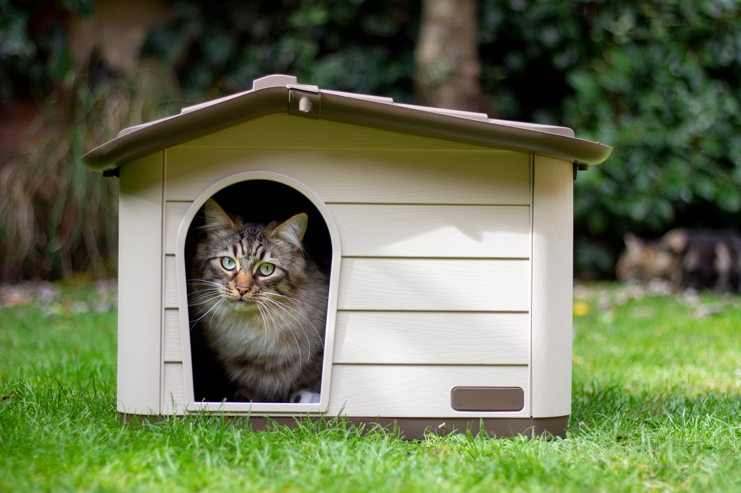 Rosewood Small Pet Knock-Down House (59cm x 51cm x 41cm)