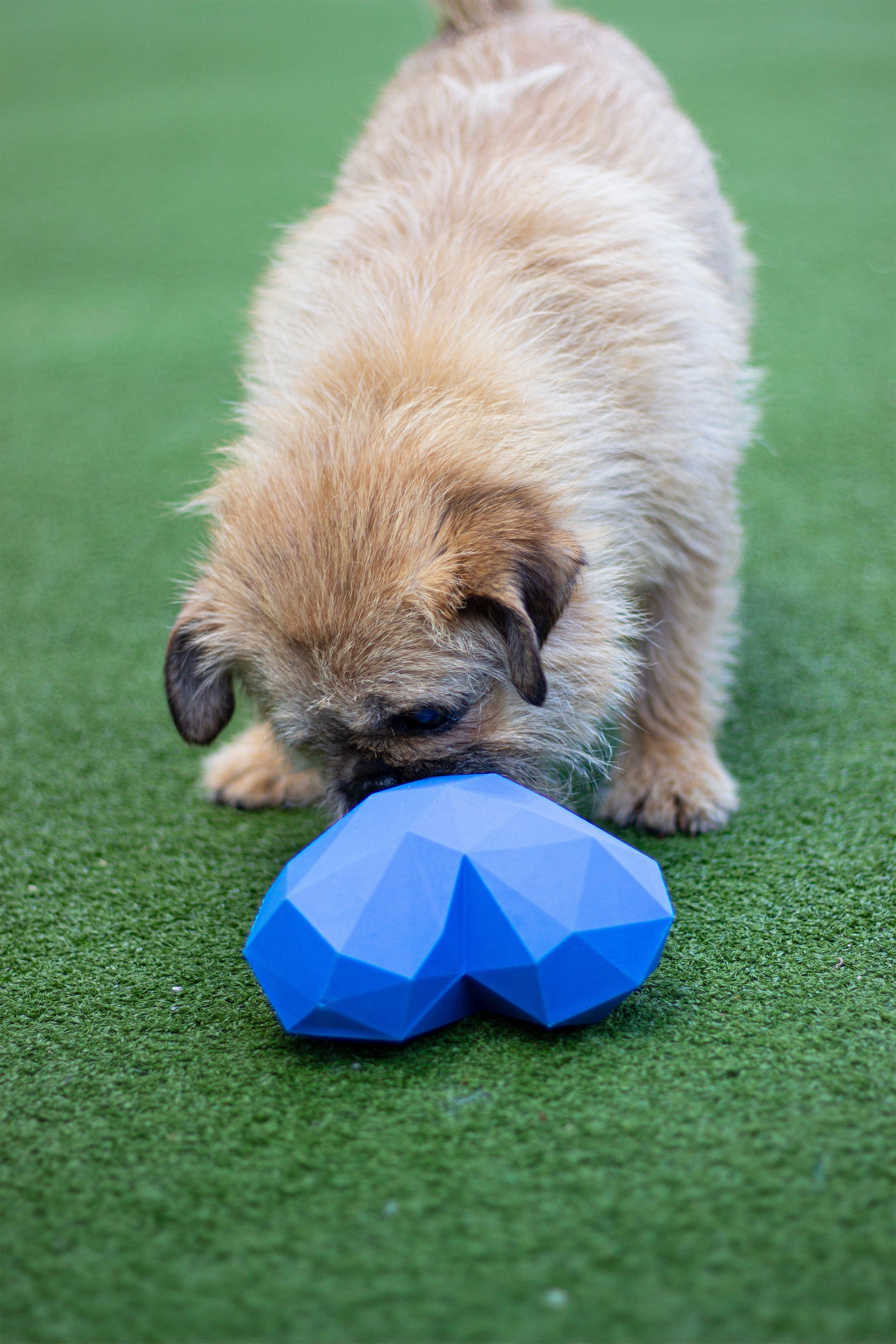 Battersea Rubber Heart Treat Toy