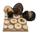 Naturals Maze-a-log Treat Challenge