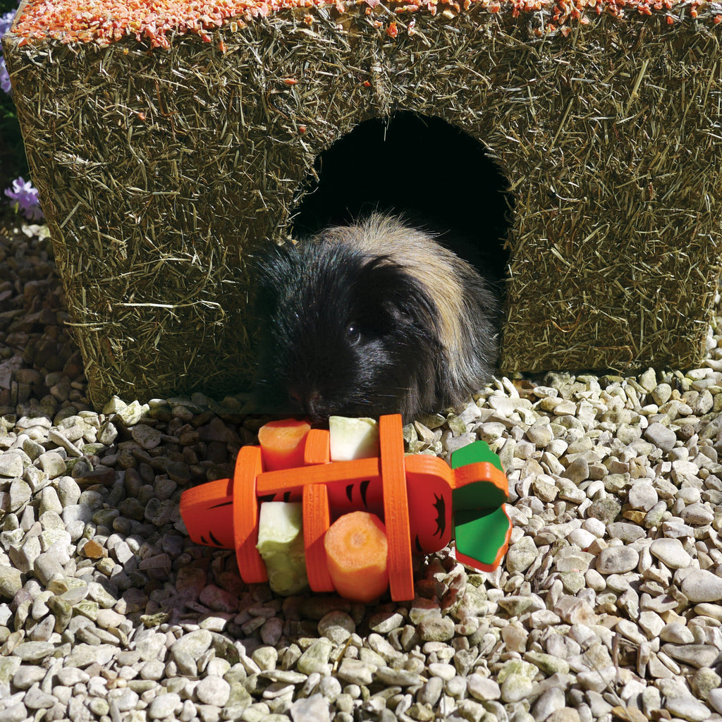 Carrot Cottage