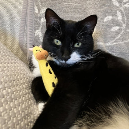 Rosewood Eco Friendly Giraffe Grab Toy for Cats