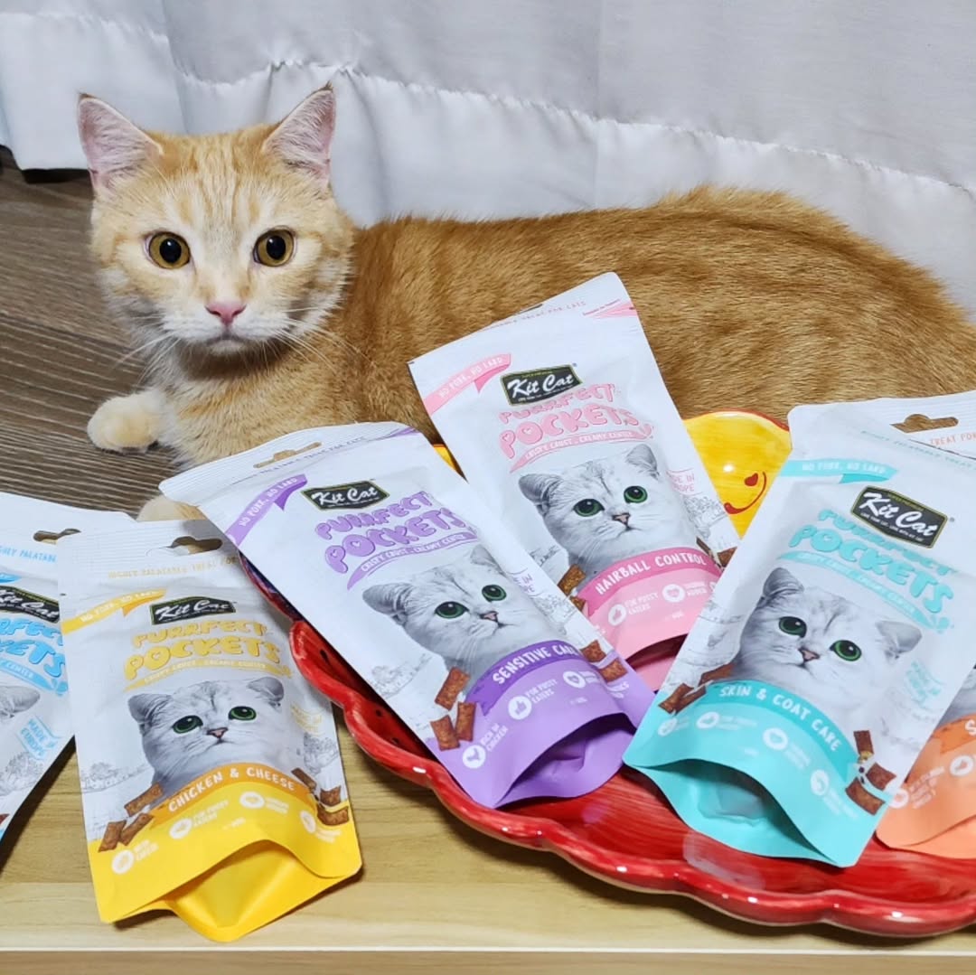 Kit Cat Purrfect Pockets (60g)