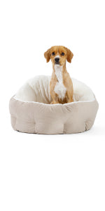 Best Friends by Sheri Deep Dish Ilan Cuddler