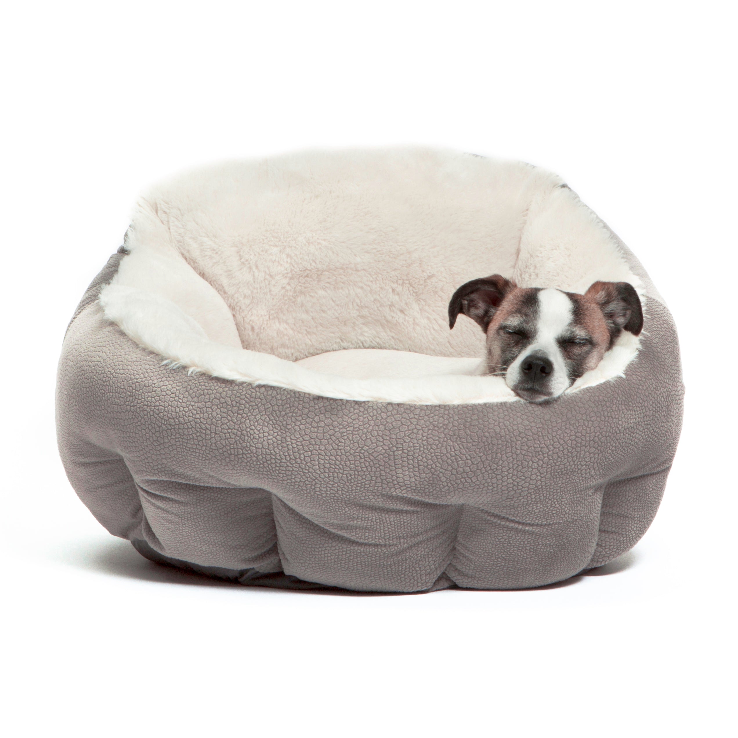 Best Friends by Sheri Deep Dish Ilan Cuddler