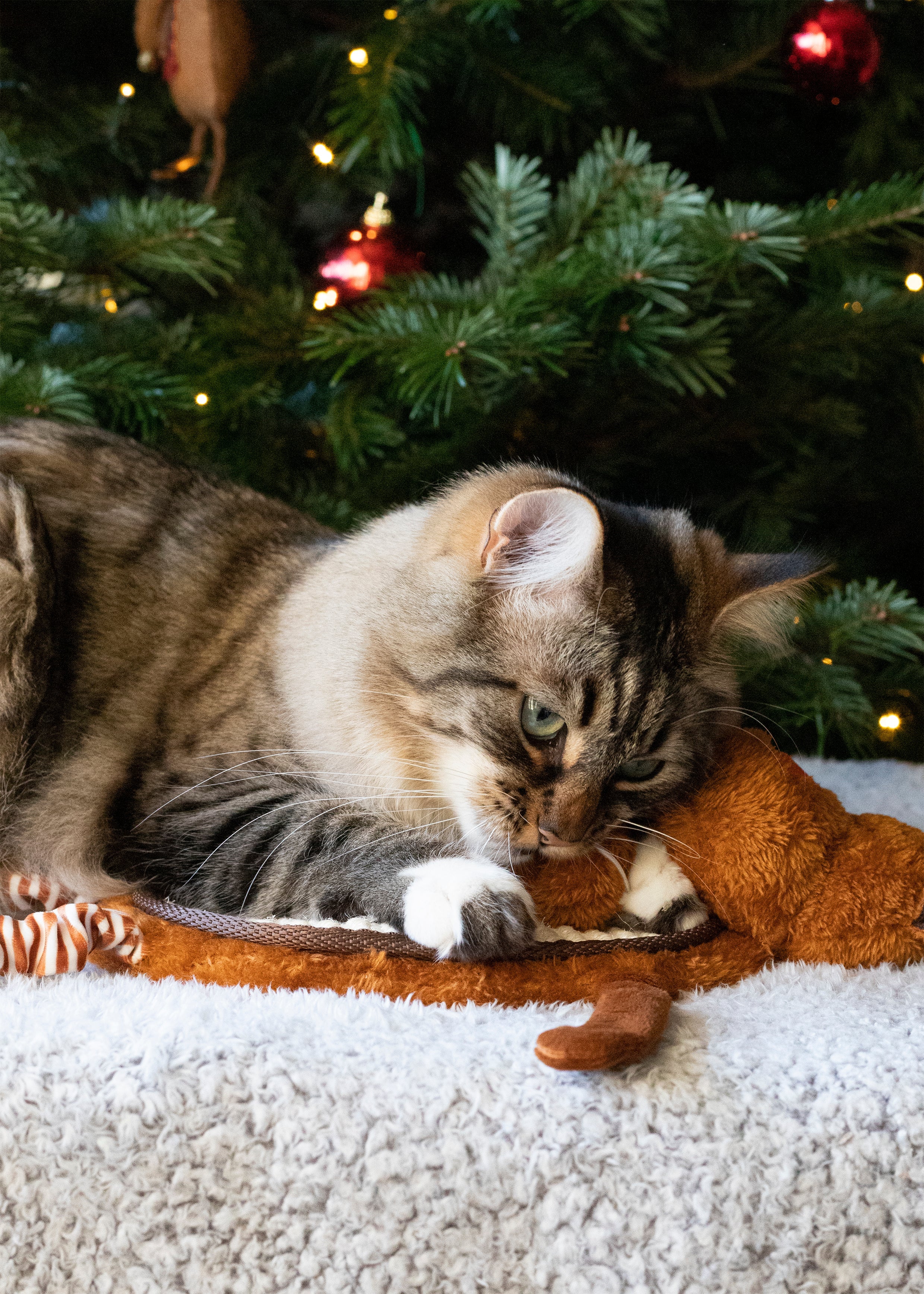 Reindeer Scratcher Mat