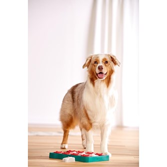 Nina Ottosson Dog Brick Blue