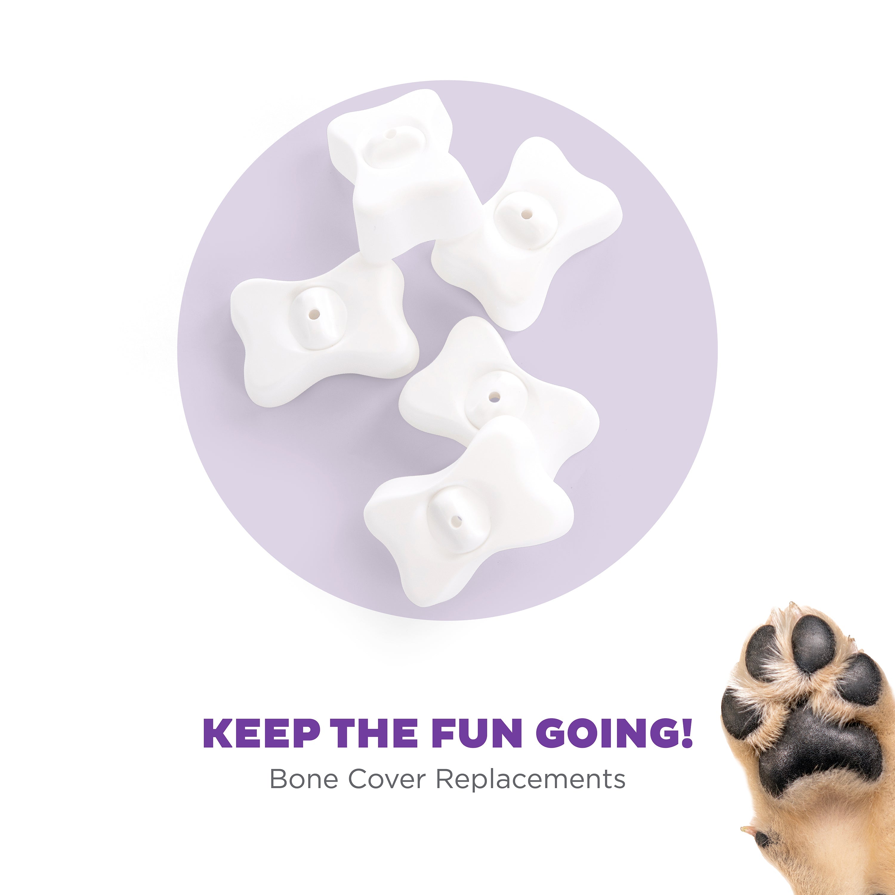 Replacement Bone 5 Pk