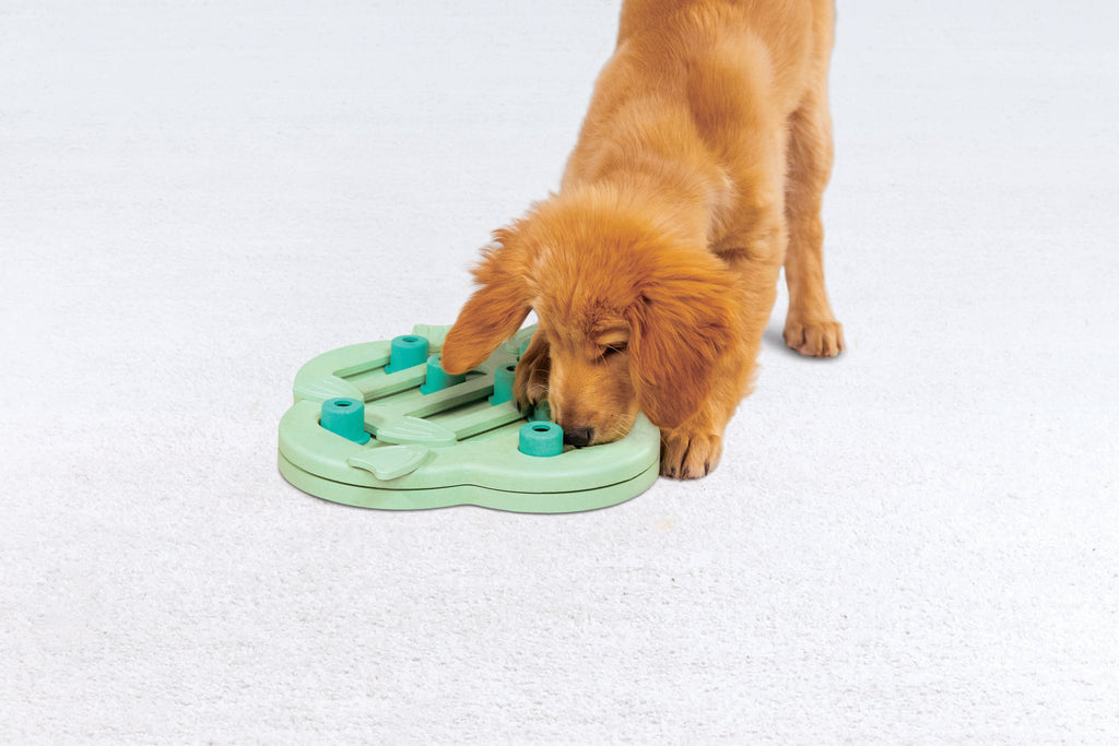 Nina Ottosson Puppy Hide 'n Slide Green