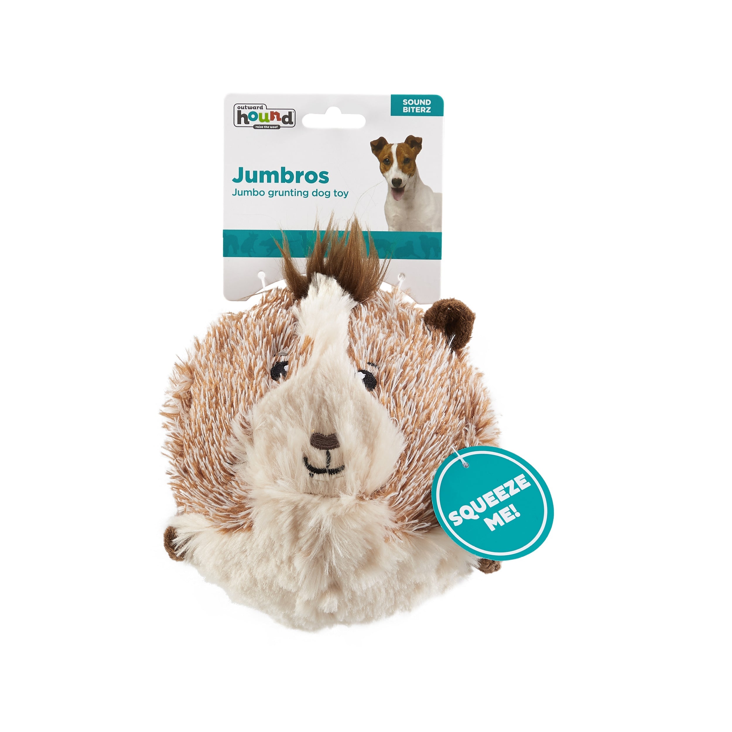 Jumbros Guinea Pig
