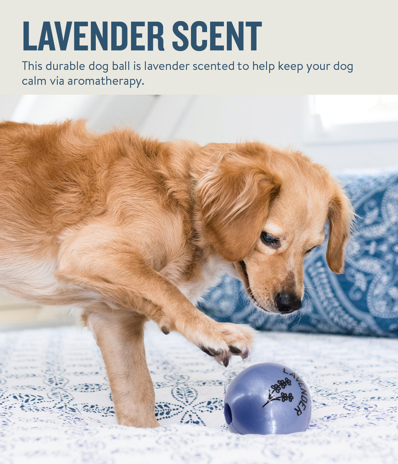 Planet Dog Orbee-Tuff Essentials Scented Ball Treat Dispenser
