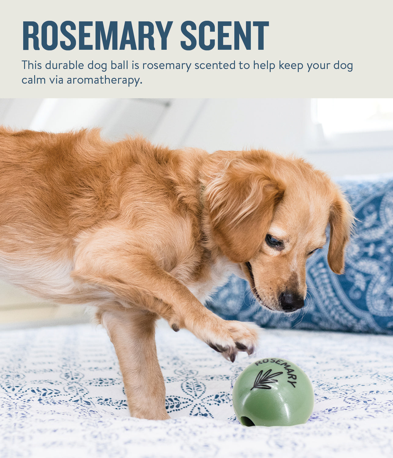 Planet Dog Orbee-Tuff Essentials Scented Ball Treat Dispenser