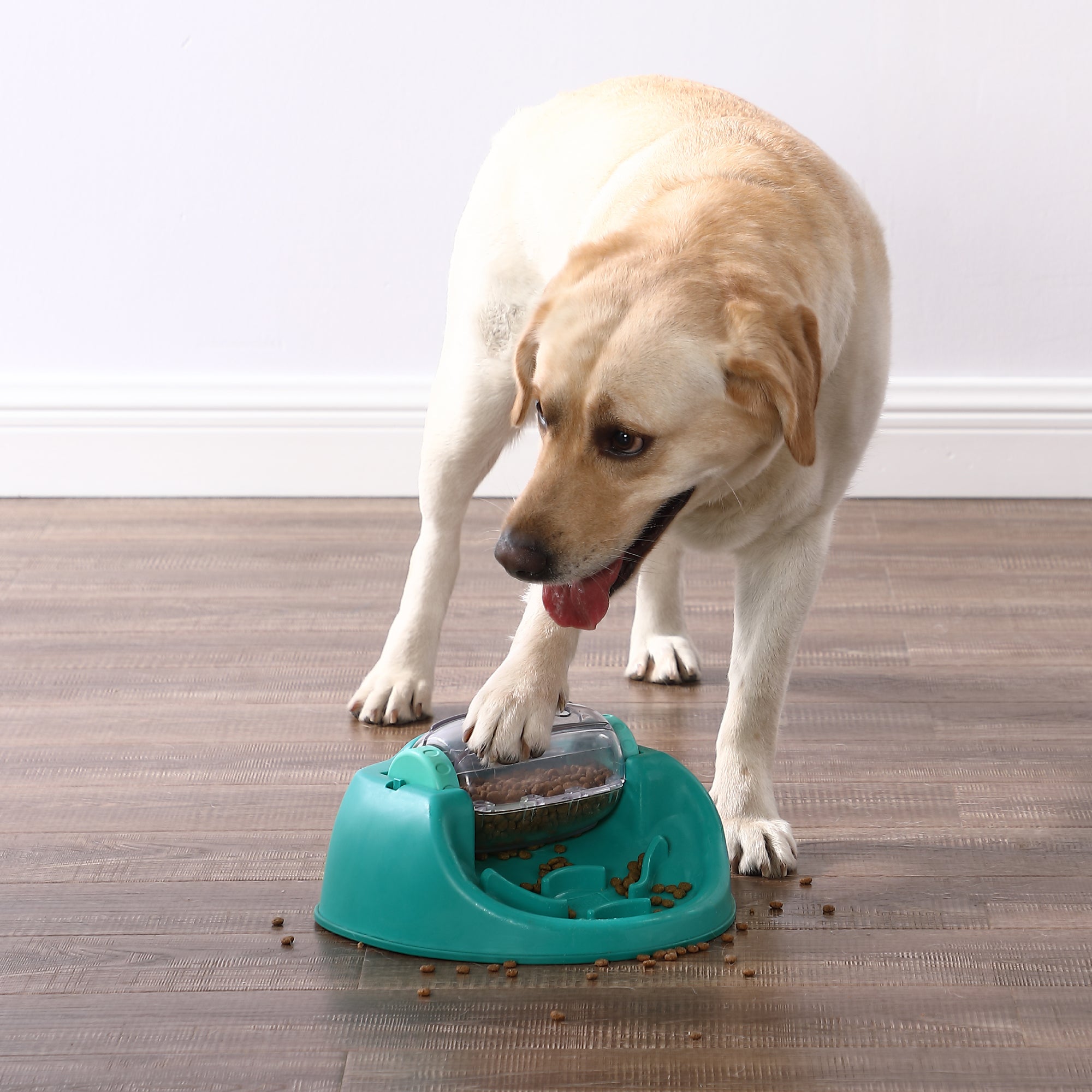 Nina Ottosson Dog Spin n' Eat Puzzle