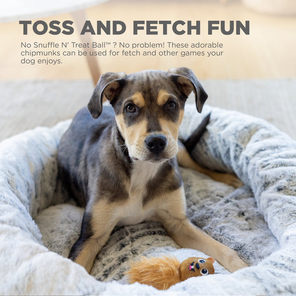 Chipmunk Snuffle Treat Replacements