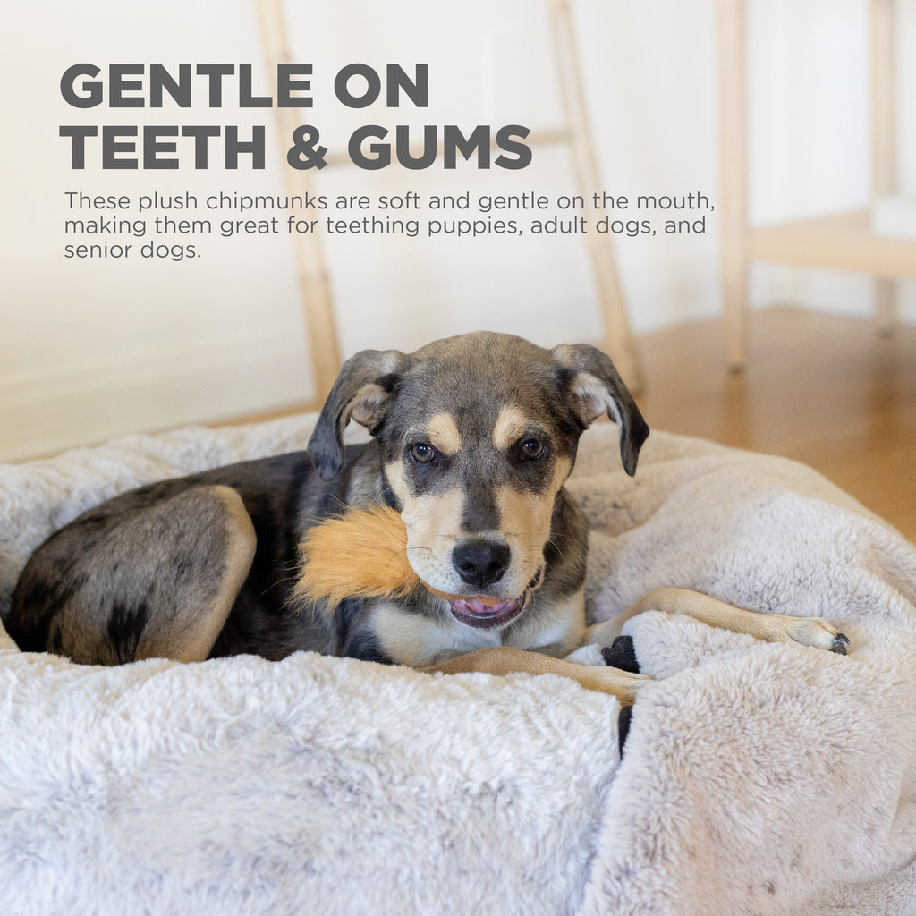 Chipmunk Snuffle Treat Replacements