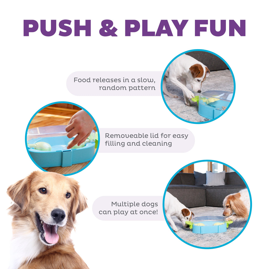 Paw 'n Play