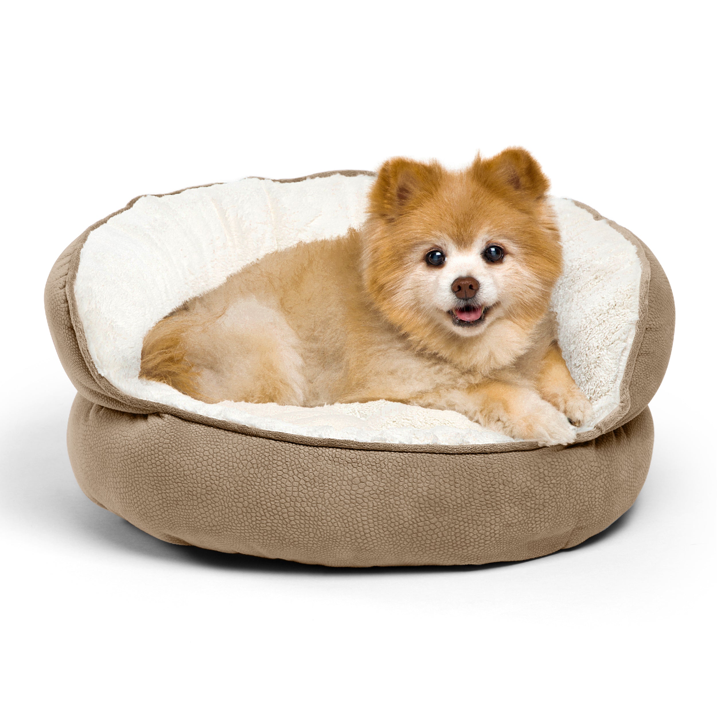 Best Friends By Sheri Throne Ilan Pet Bed