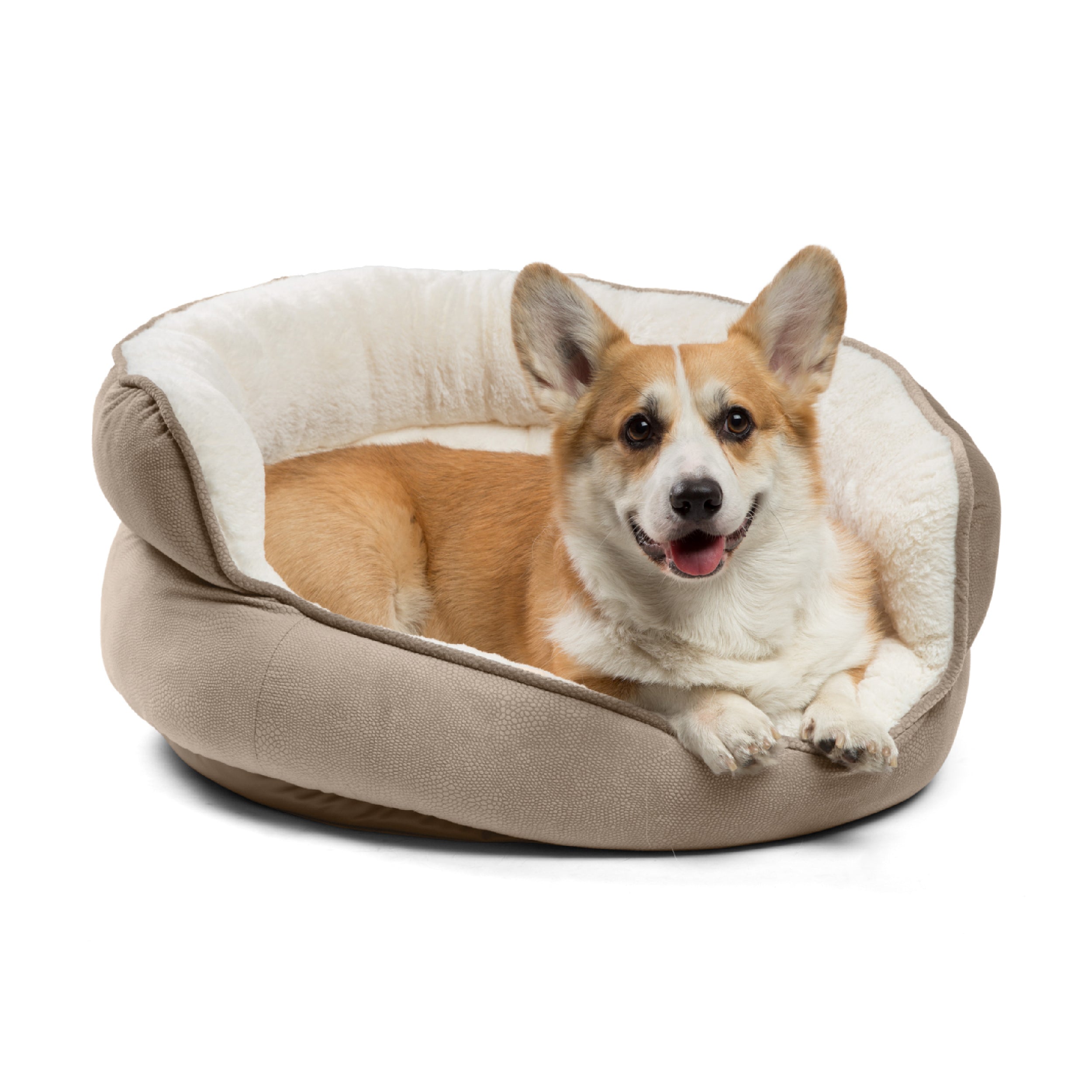 Best Friends By Sheri Throne Ilan Pet Bed