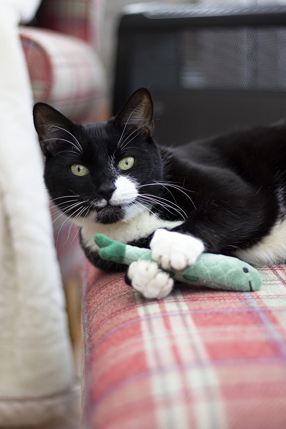 Battersea Daily Catch (3pc)