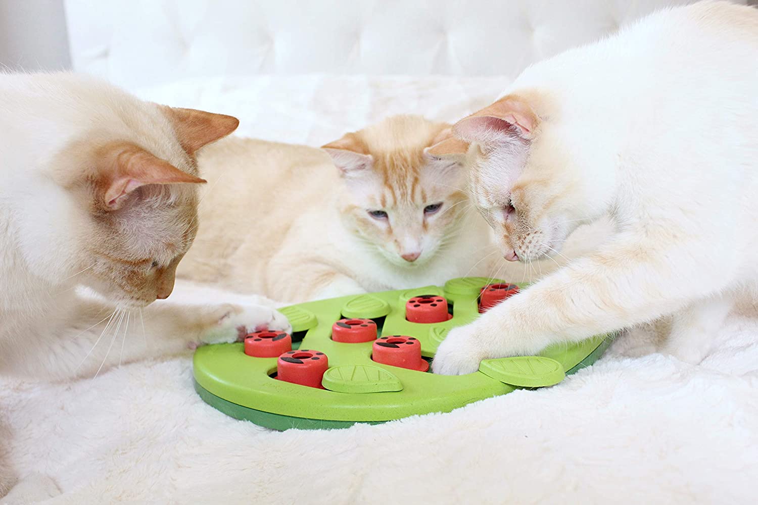 Nina Ottosson Cat Puzzle 'n Play Buggin Out
