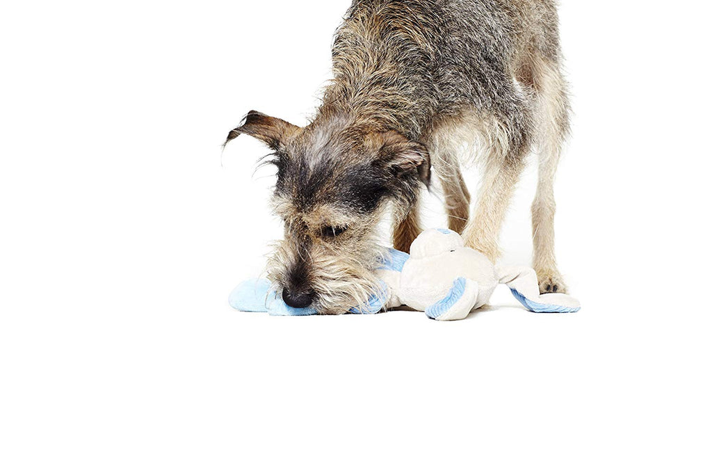 CPD005_Charming Pet_Baby Tuggeez Bunny