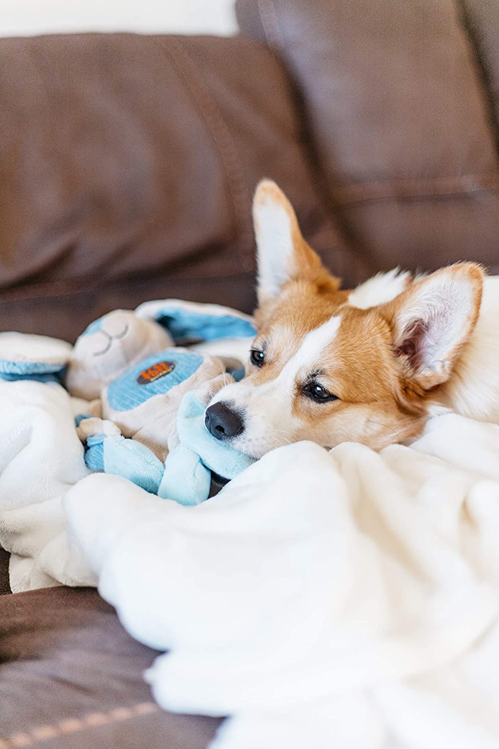 CPD005_Charming Pet_Baby Tuggeez Bunny