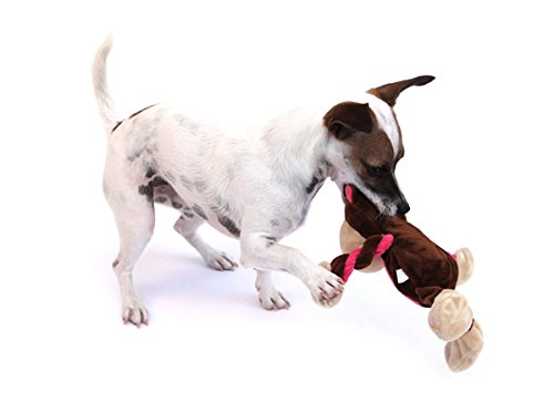 CPD006_Charming Pet_Baby Tuggeez Monkey