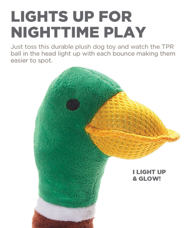 CPD009_Charming Pet_Head Bangerz Duck