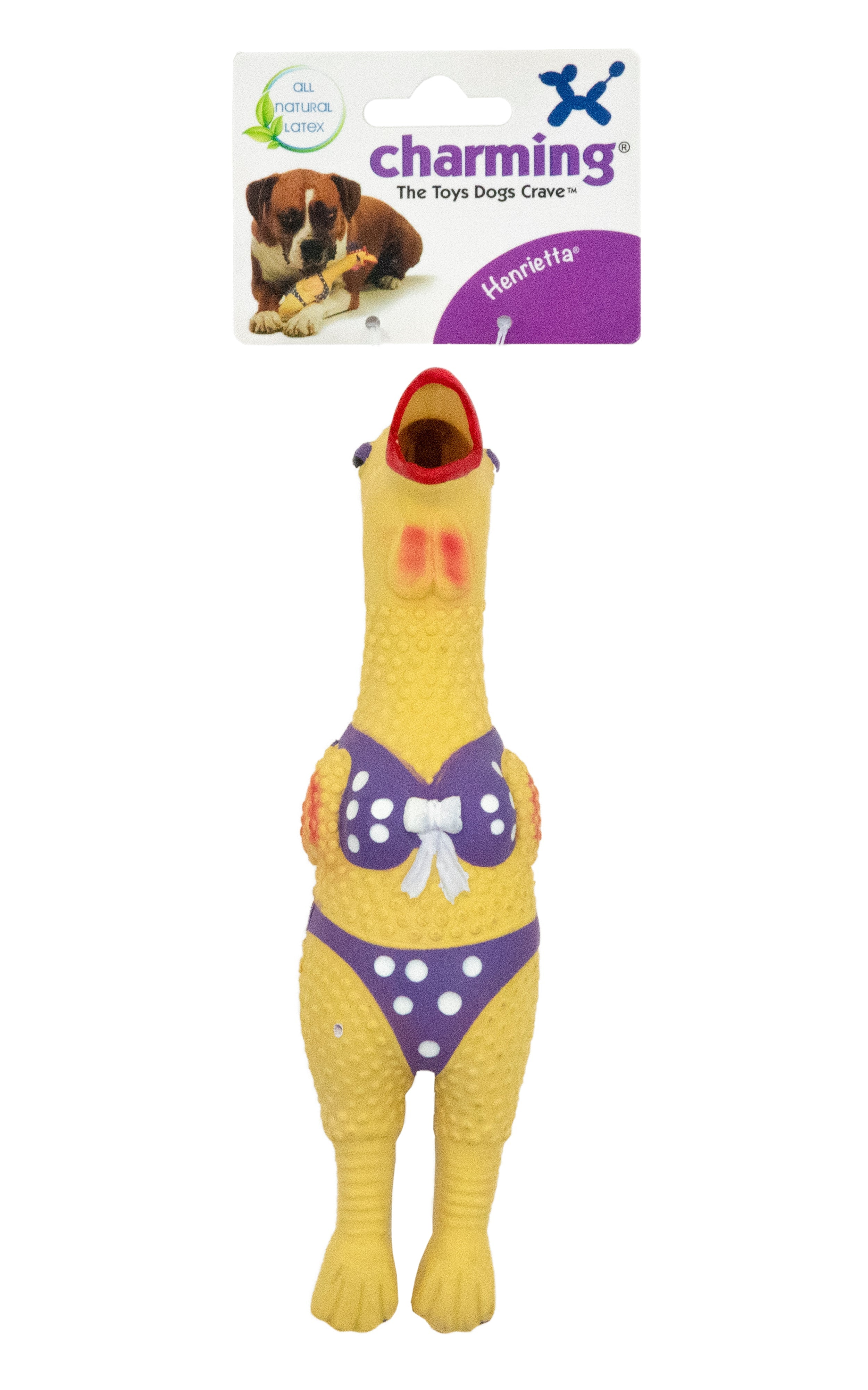 CPD040_Charming_Pet_Squawkers_Henrietta
