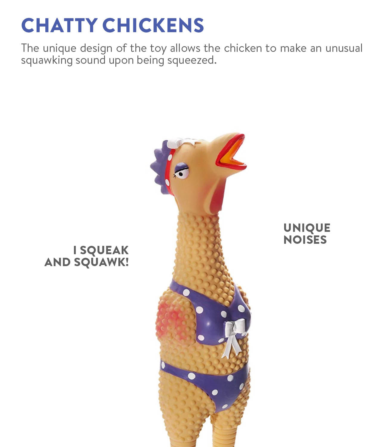 CPD040_Charming_Pet_Squawkers_Henrietta