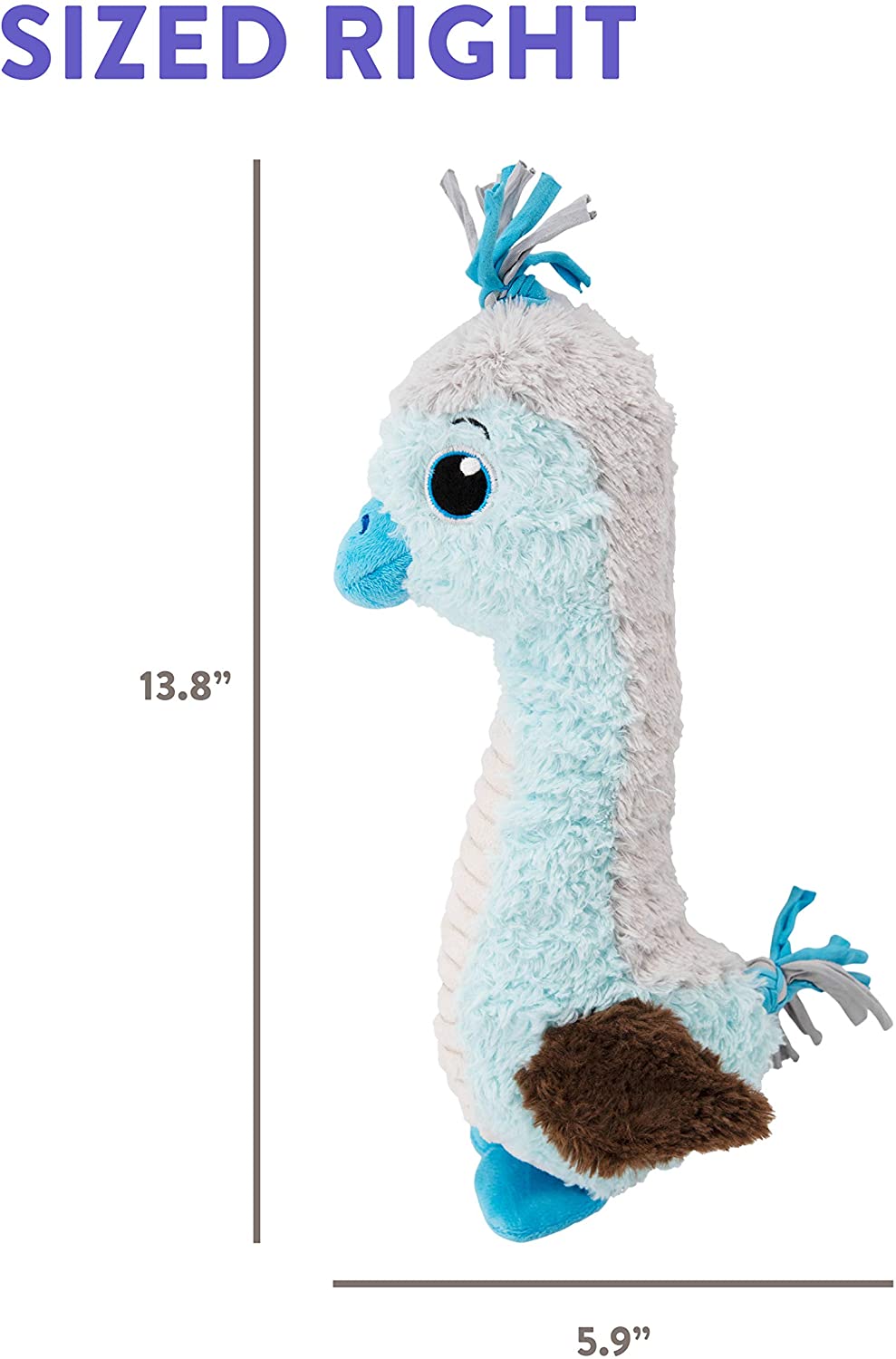 CPD054_Charming Pet_Absurd Burds Boobie