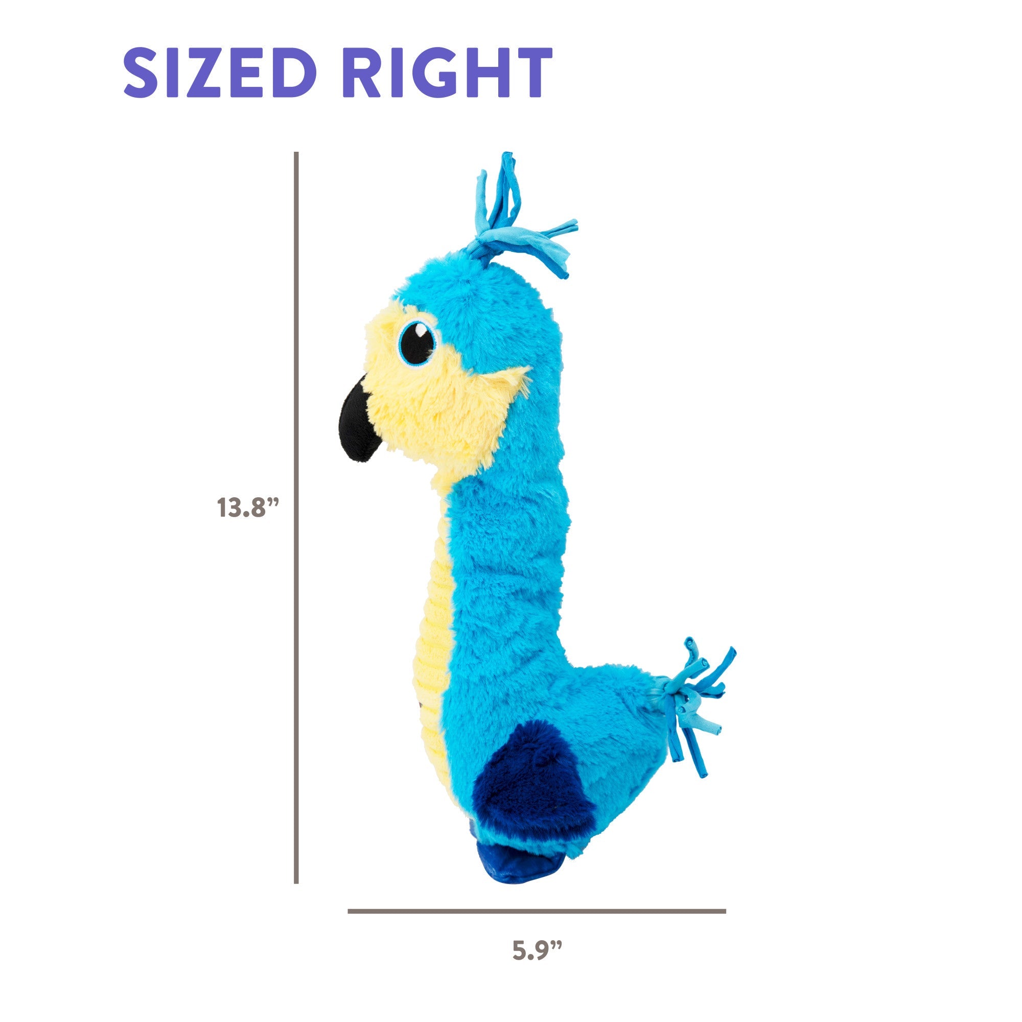 CPD061_Charming Pet_Absurd Burds Macaw