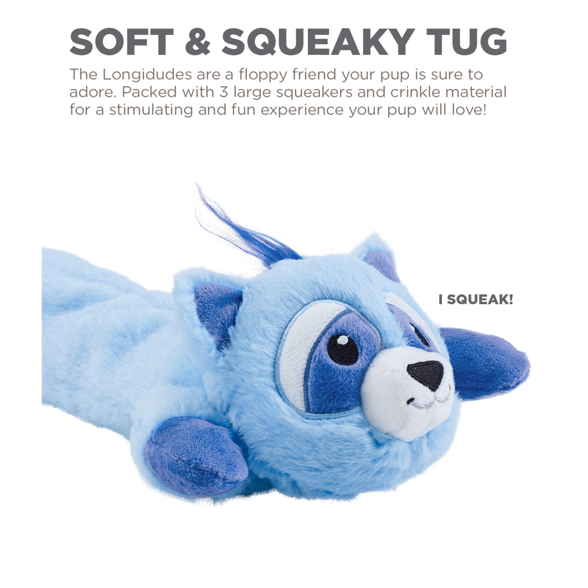 CPD069_Charming Pet_Longidudes Raccoon Blue
