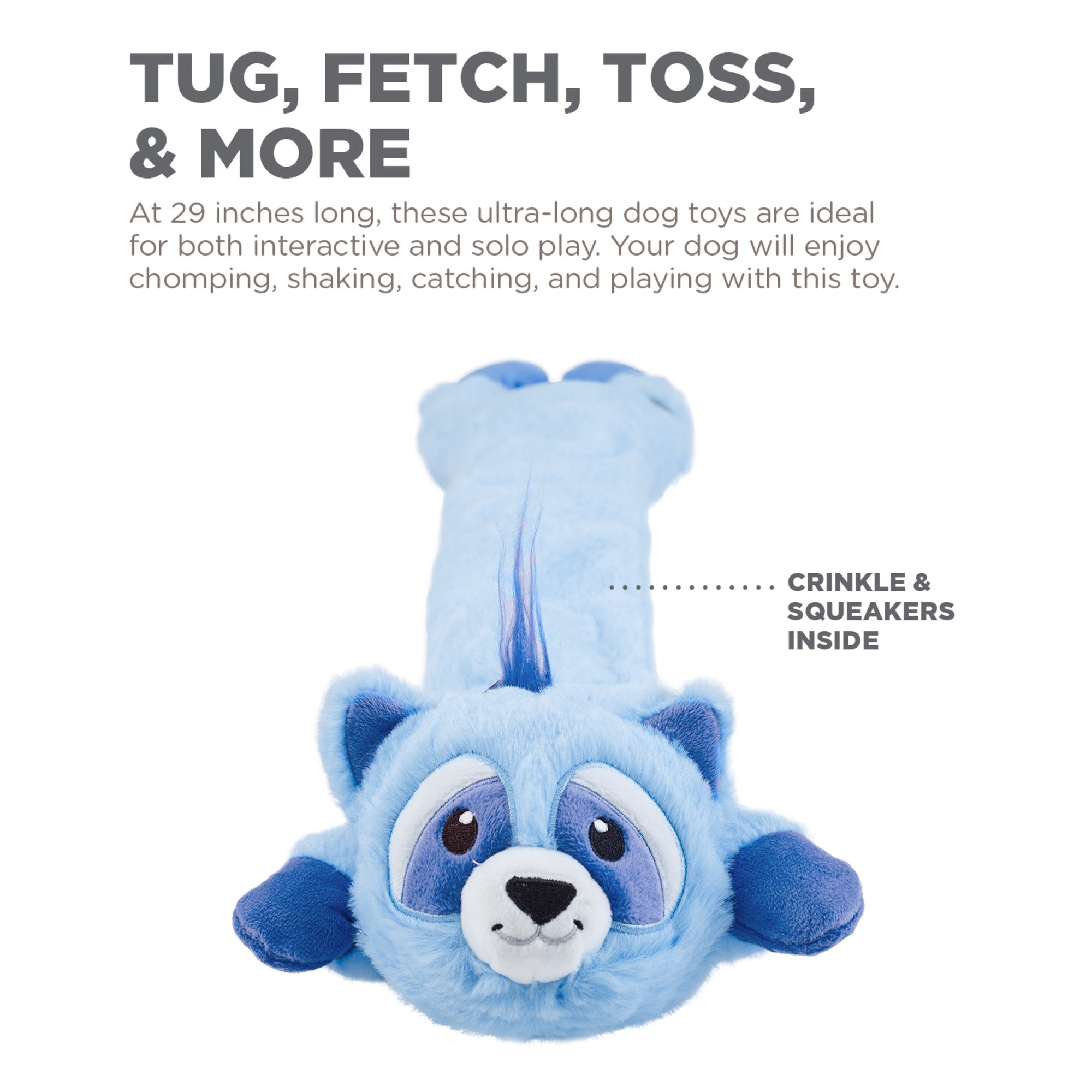 CPD069_Charming Pet_Longidudes Raccoon Blue