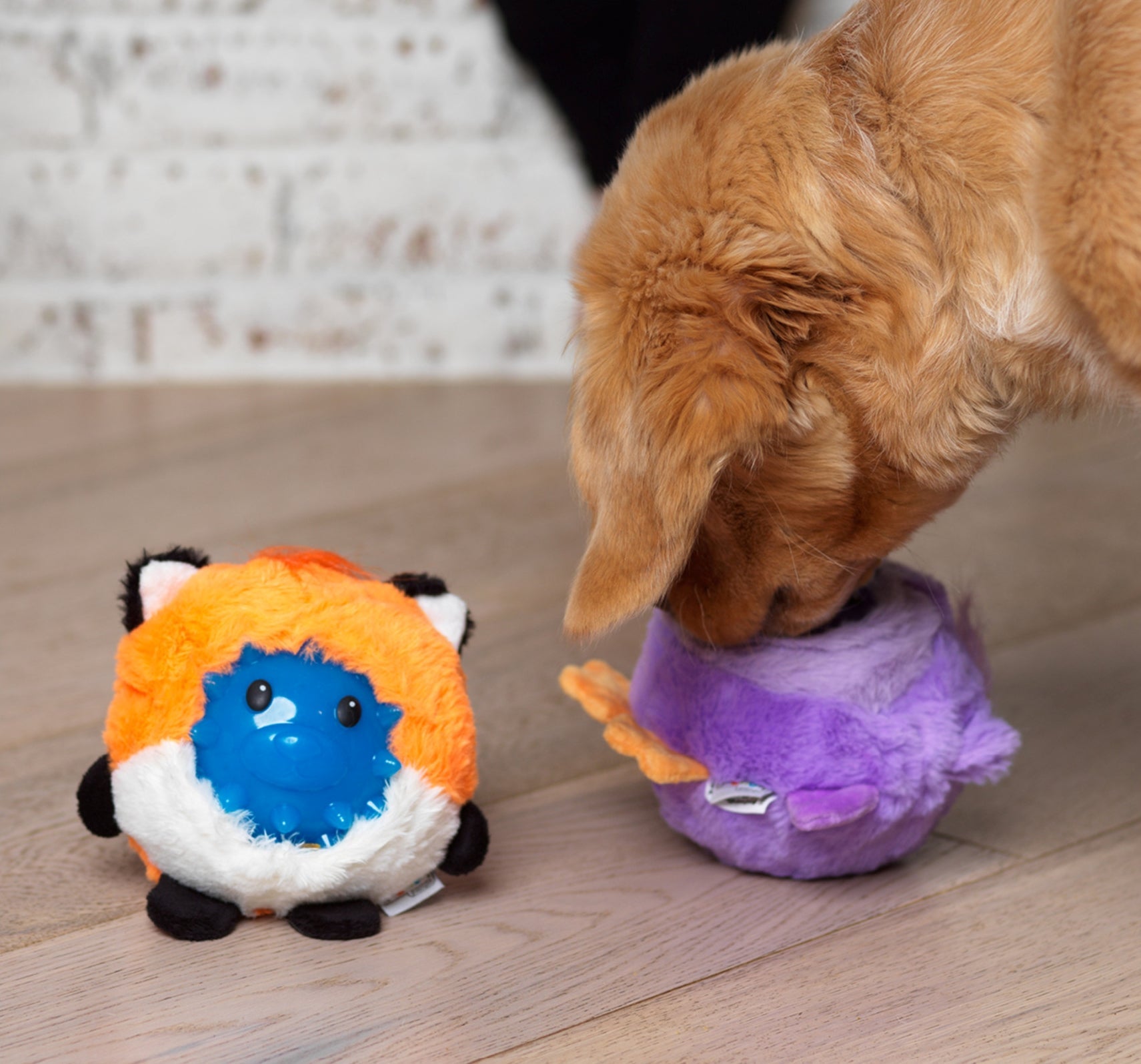 CPD06_Charming Pet_Unbelieva-Ball