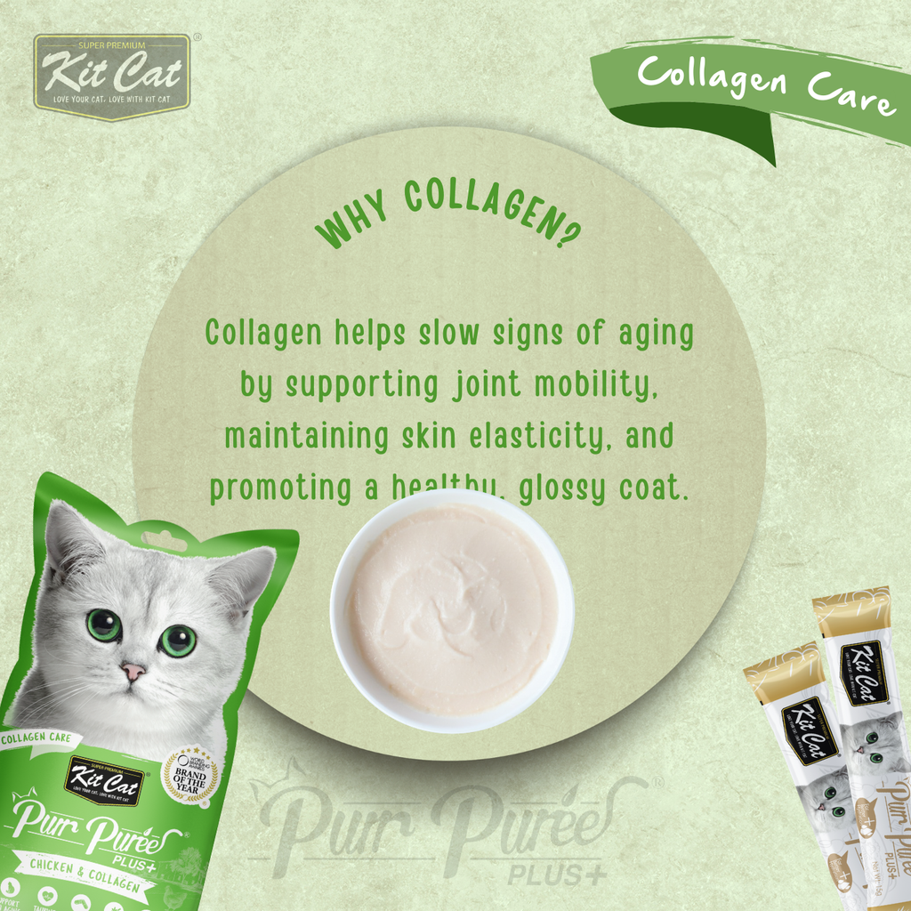 Purr Puree Plus+ (4 x 15g)