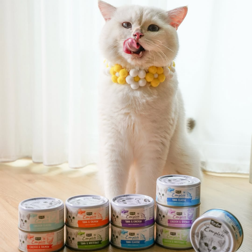 Complete Cuisine Bulk Deal (24 x 70g)