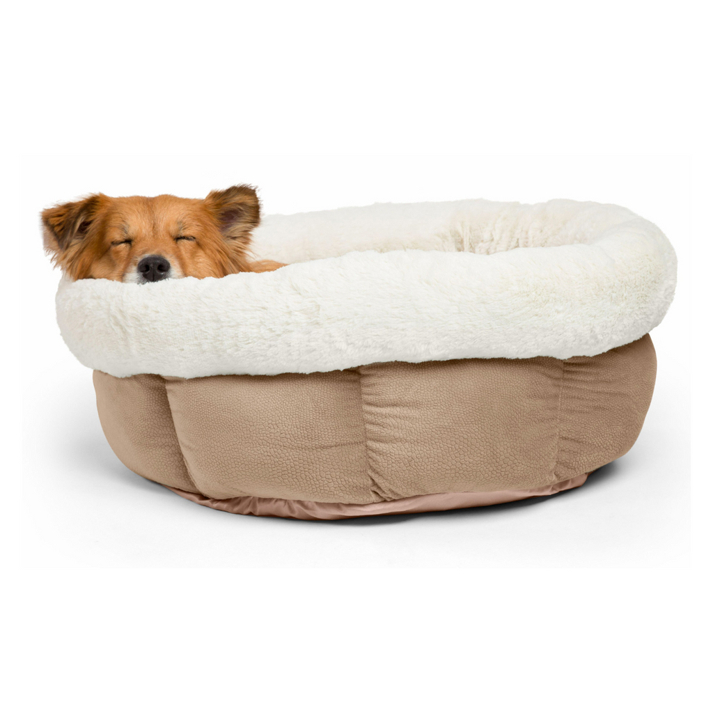 Best Friends by Sheri Cuddle Cup Ilan Dog & Cat Bed