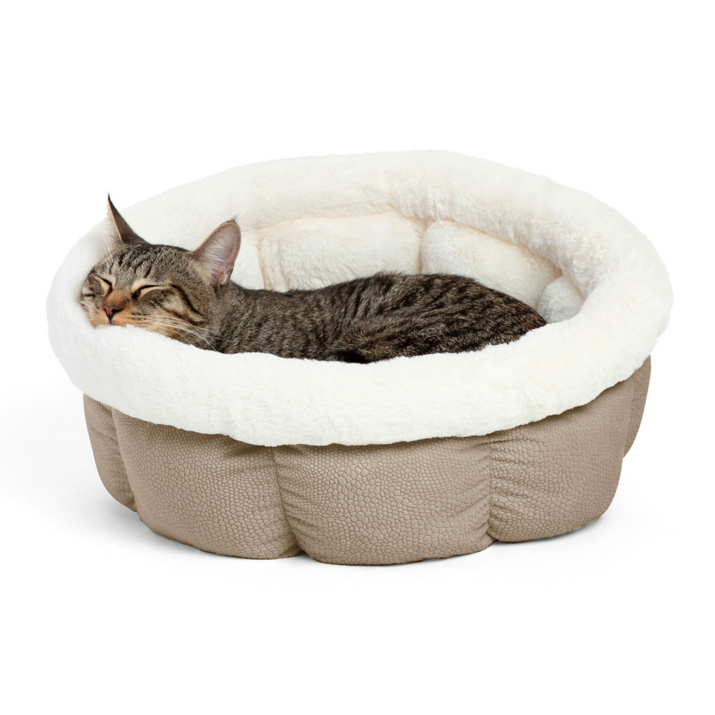 Best Friends by Sheri Cuddle Cup Ilan Dog & Cat Bed