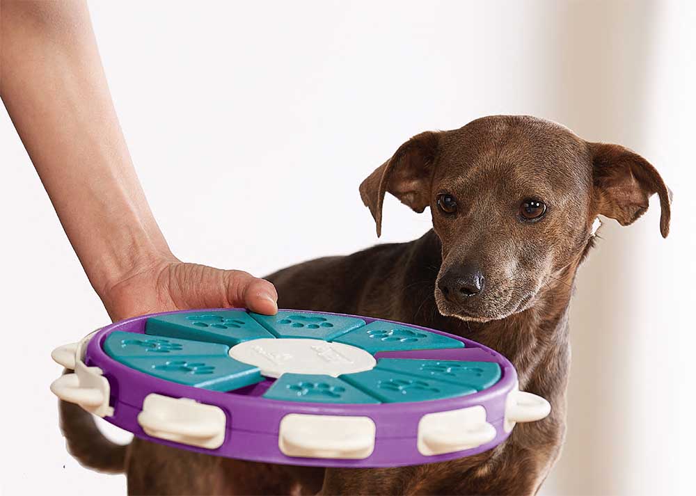 Nina Ottosson Dog Twister