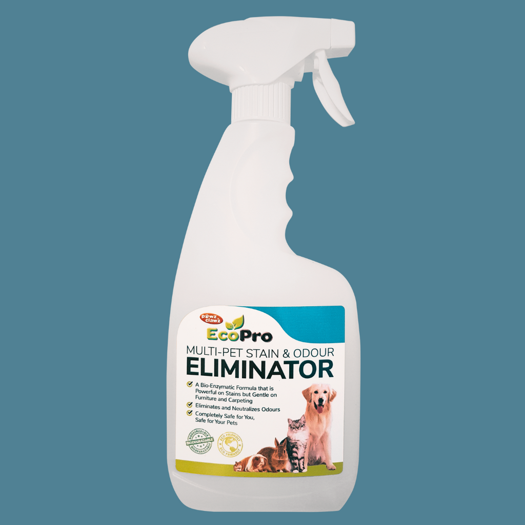 ECOPRO01_EcoPro Stain & Odour Eliminator