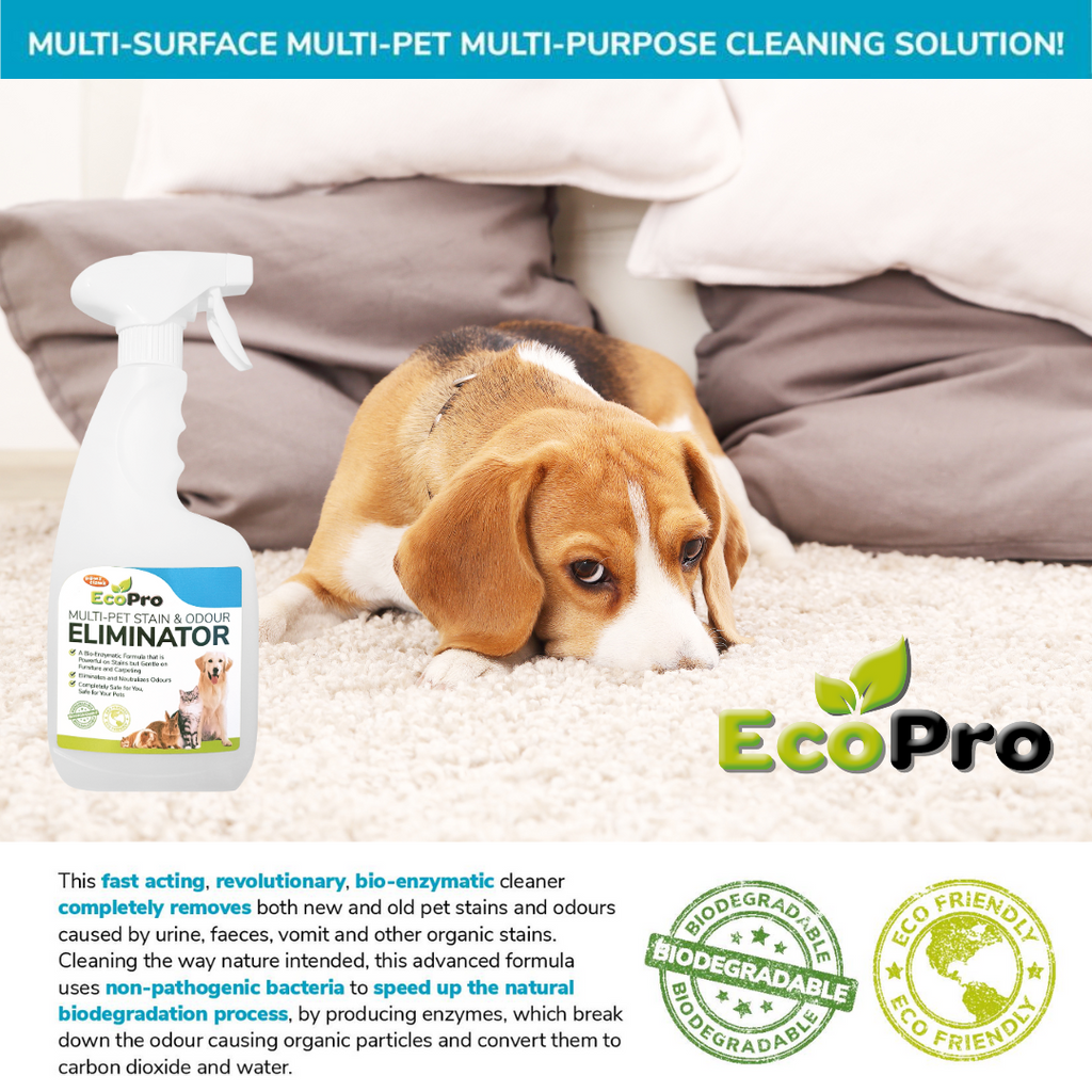 ECOPRO01_EcoPro Stain & Odour Eliminator