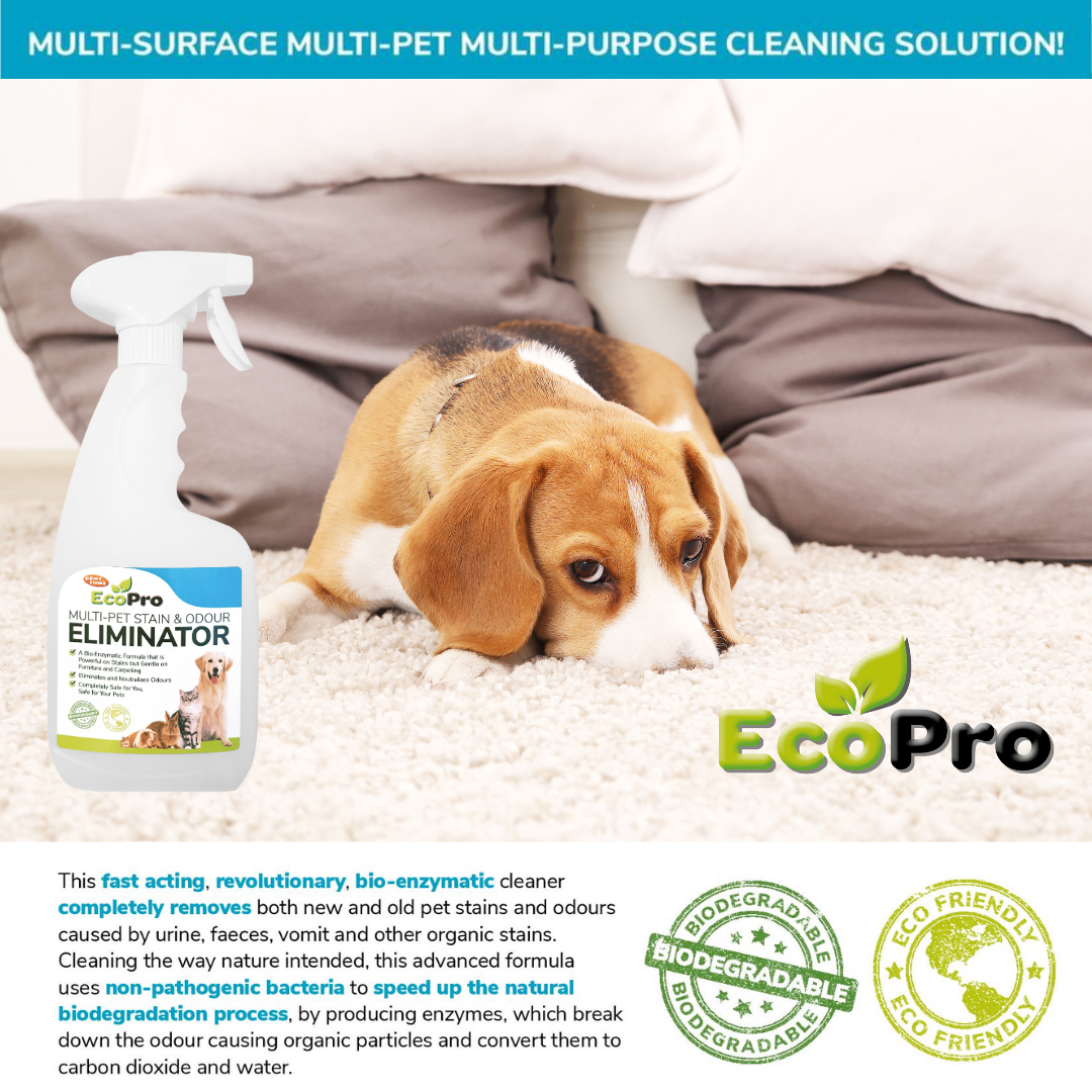 ECOPRO01_EcoPro Stain & Odour Eliminator