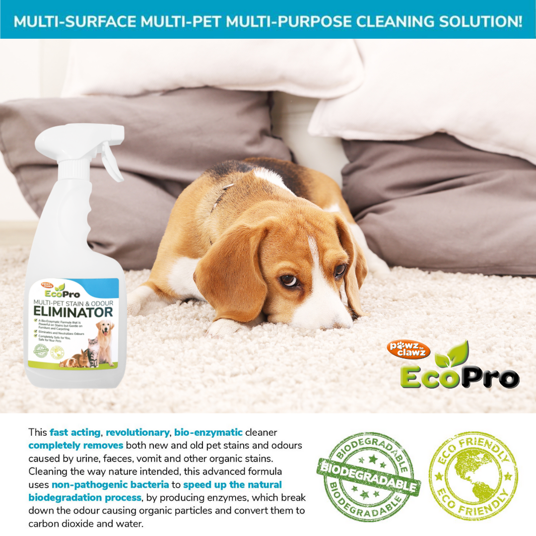 EcoPro Stain & Odour Eliminator - Bulk Unit (500ml x 3)