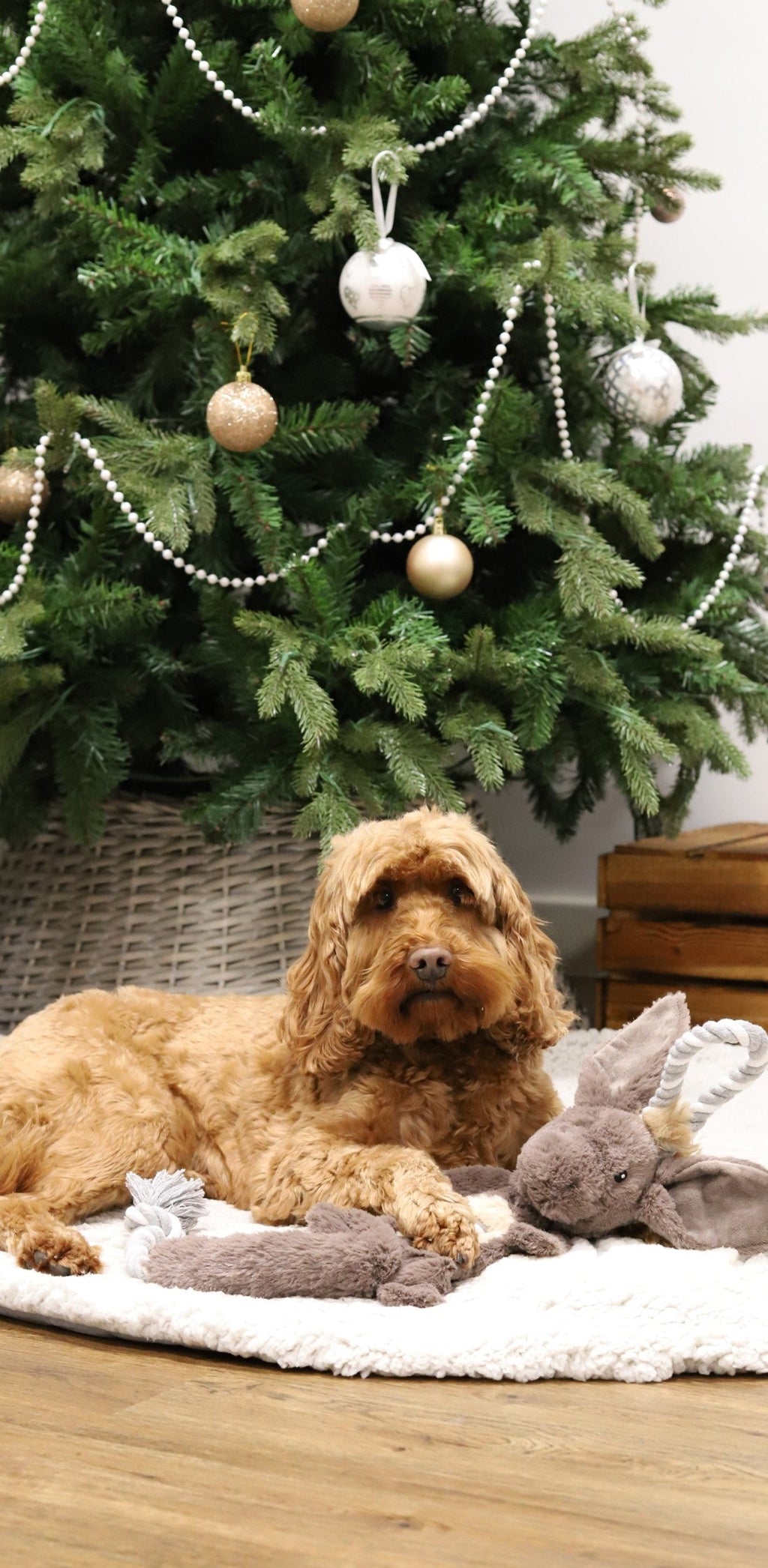 Festive Rope Donkey