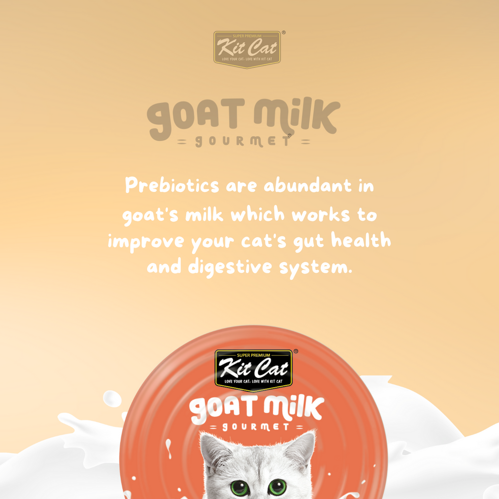 Kit Cat Goat's Milk Gourmet Bulk Deal (70g x 24 tins)