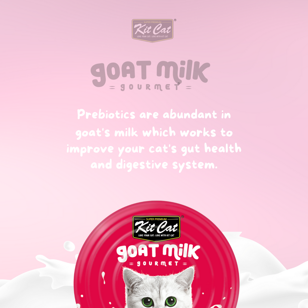 Kit Cat Goat's Milk Gourmet Bulk Deal (70g x 24 tins)