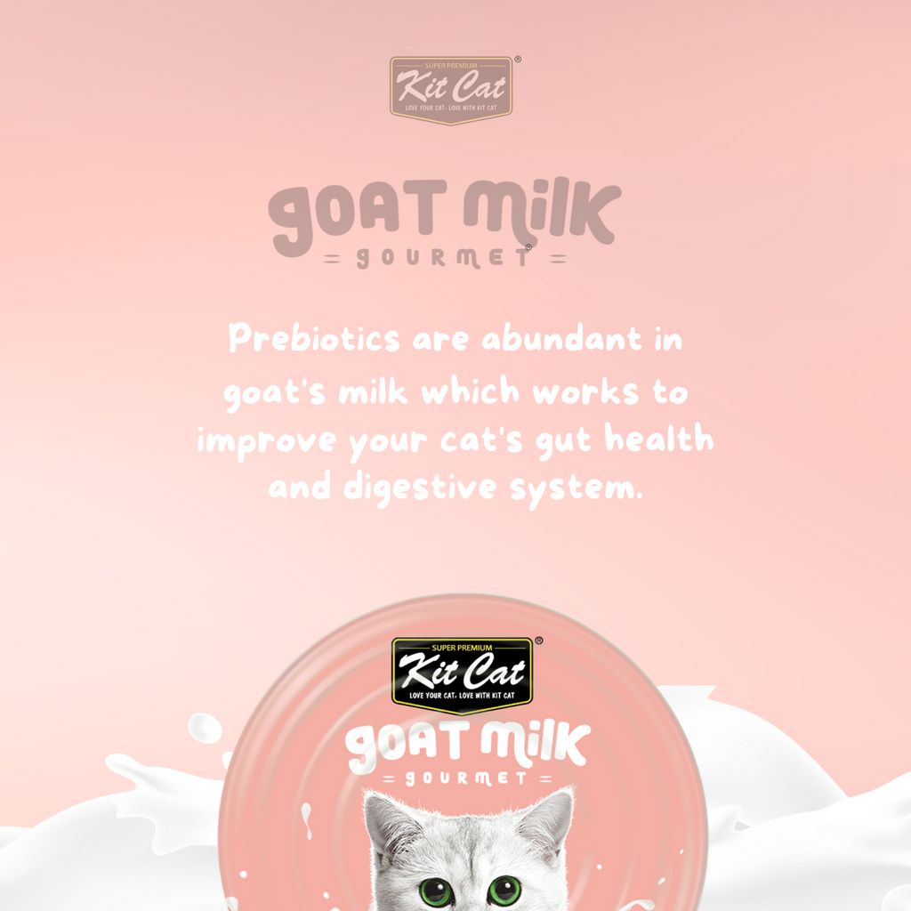 Kit Cat Goat's Milk Gourmet Bulk Deal (70g x 24 tins)