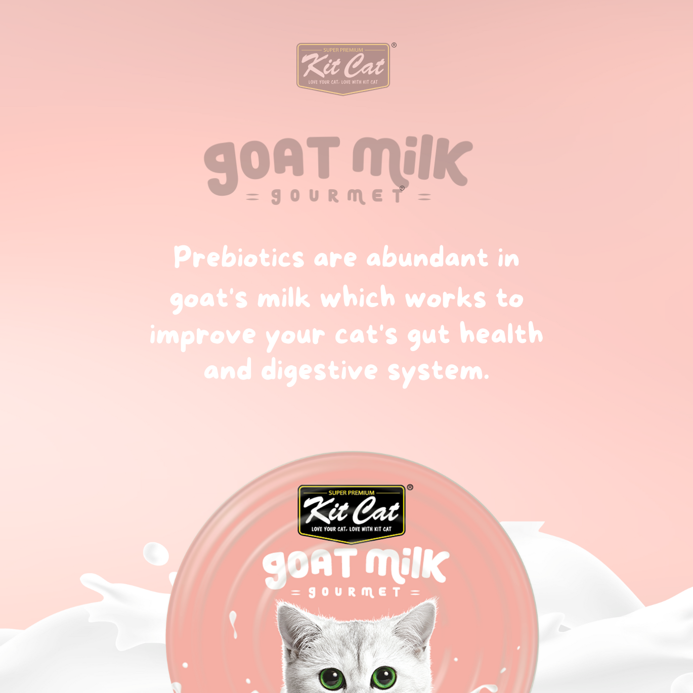 Kit Cat Goat's Milk Gourmet Bulk Deal (70g x 24 tins)