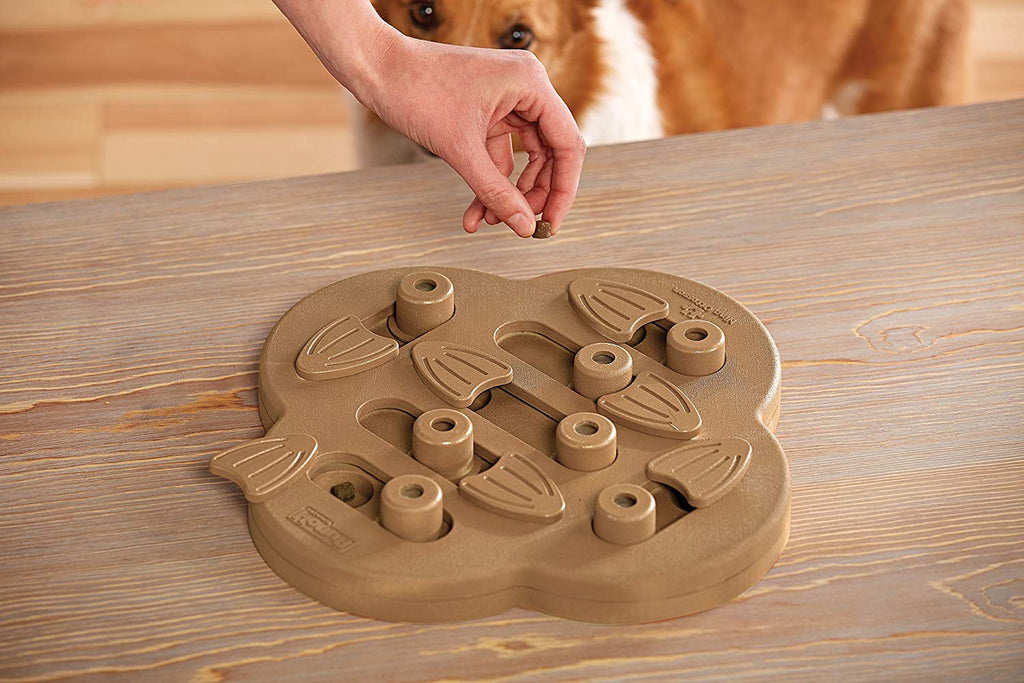 Nina Ottosson Dog Hide 'n Slide Composite